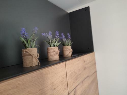 Mobile Home Limona