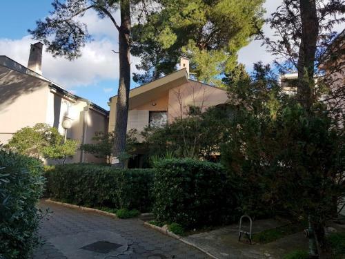Hostal Palma Holiday House
