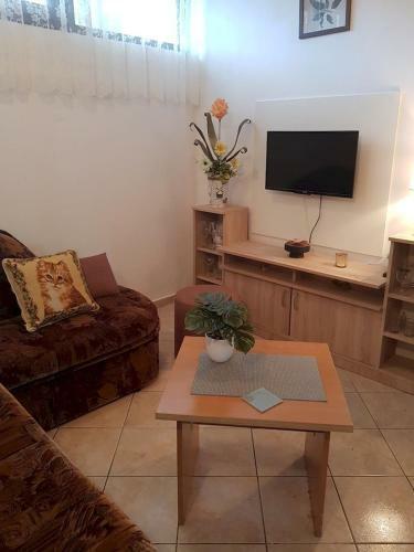 Hostal Palma Holiday House
