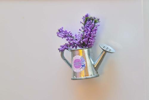 Apartment Golden Lavender