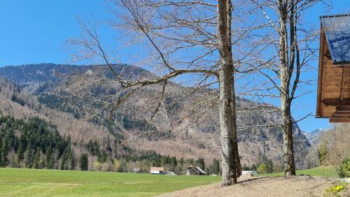 Radovna Mountain Cottage