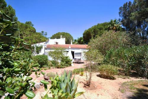 Villa Violeta