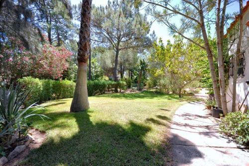 Villa Violeta