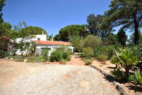 Villa Violeta