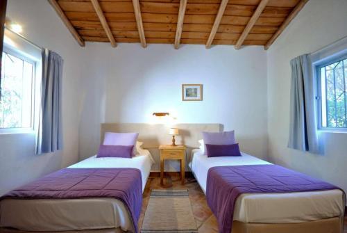 Villa Violeta