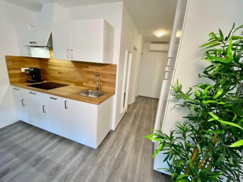 Apartment 3 Sovice