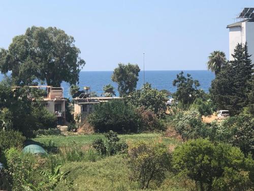 Apartamento Beachfront Fully Equipped Luxury Residence D19n