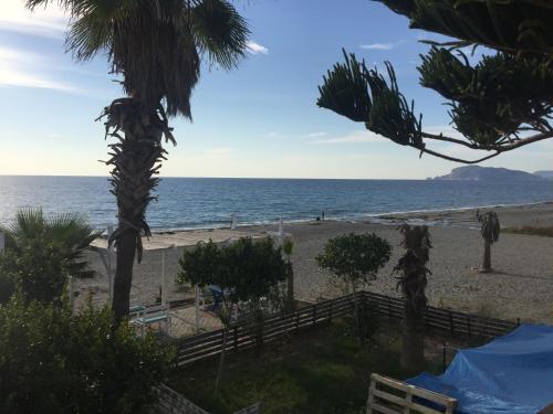 Apartamento Beachfront Fully Equipped Luxury Residence D19n