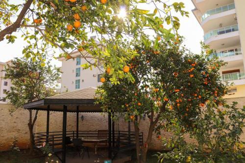 Apartamento Beachfront Fully Equipped Luxury Residence D19n