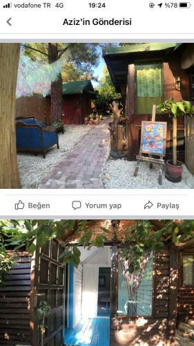 Hostal Or Site