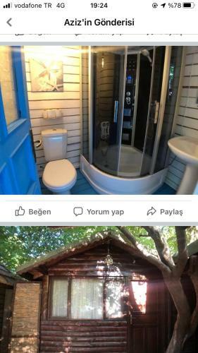 Hostal Or Site