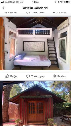 Hostal Or Site
