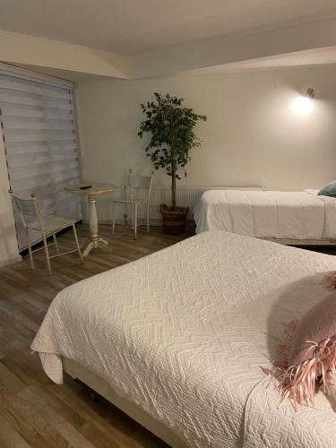Hotel Bermudas Inn
