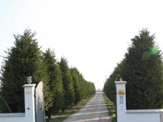 Bed & Breakfast Il Giardino Di Rebecca