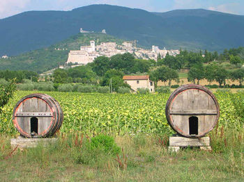Hotel La Quiete