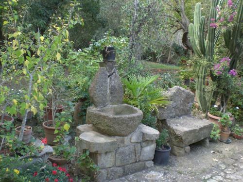 B&B Villa Calagioli