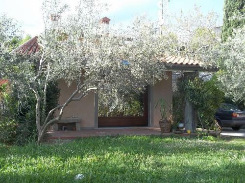 Bed & Breakfast Villa Ambrosia