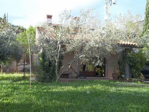 Bed & Breakfast Villa Ambrosia