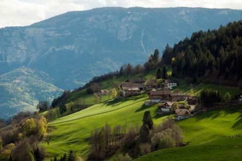 Hotel Pension Schlaneiderhof