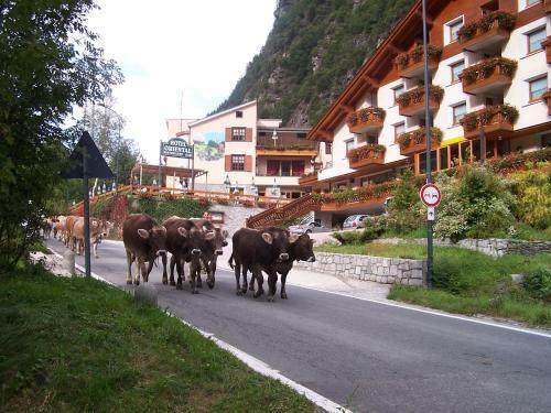 Hotel Oriental