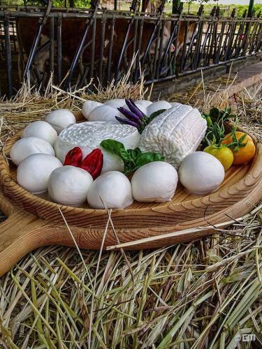 Agroturismo Relais Il Mulino