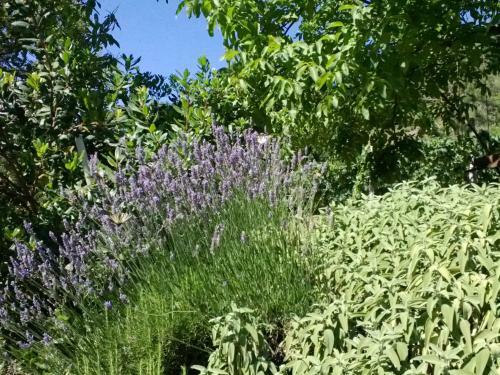 B&B Alla Palombara Di Rossano