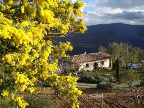 B&B Alla Palombara Di Rossano