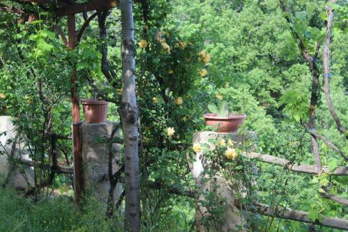 B&B Alla Palombara Di Rossano