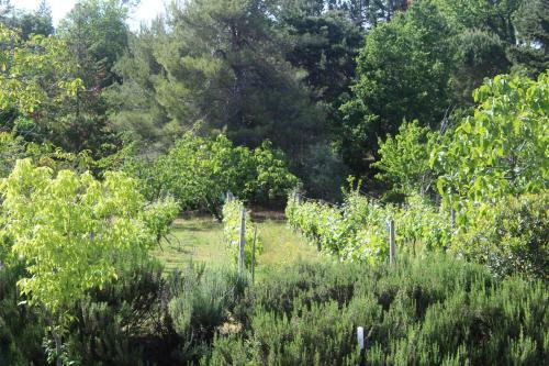 B&B Alla Palombara Di Rossano