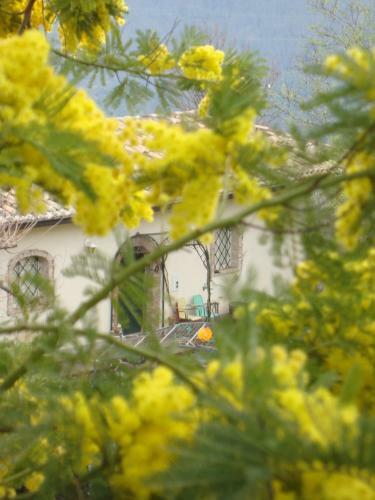 B&B Alla Palombara Di Rossano