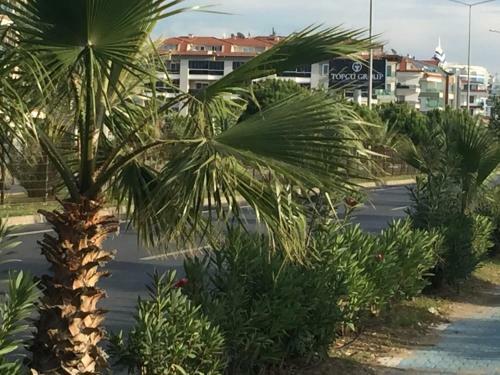 Apartamento Beachfront Fully Equipped Luxury Residence D14n