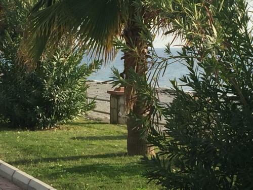 Apartamento Beachfront Fully Equipped Luxury Residence D14n