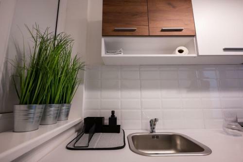Centar Apartman Dunavski Park