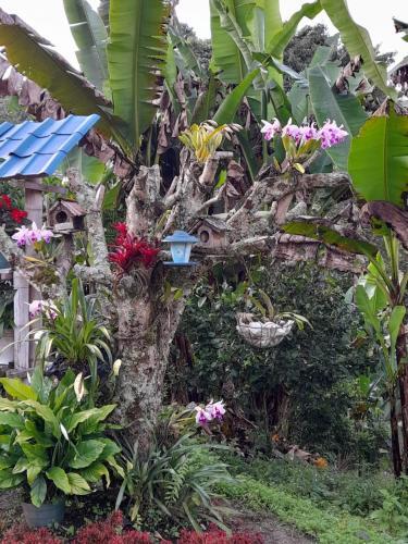 Agroturismo For Me A Time