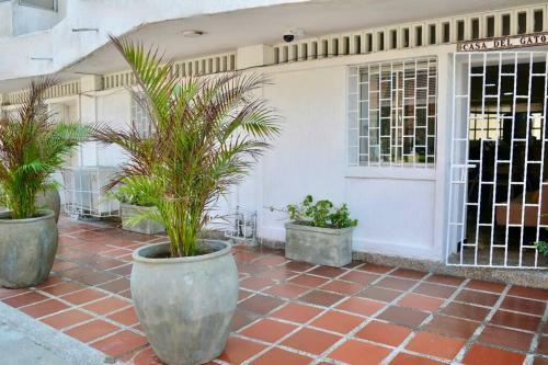 Apartamento Casa Del Gato