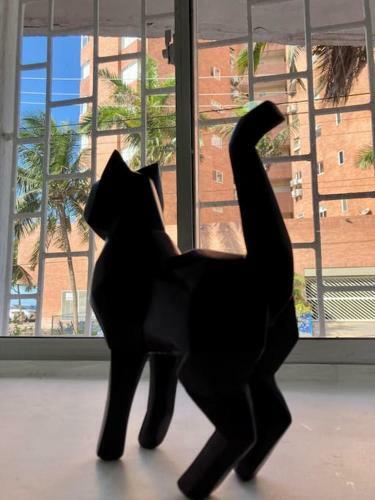 Apartamento Casa Del Gato