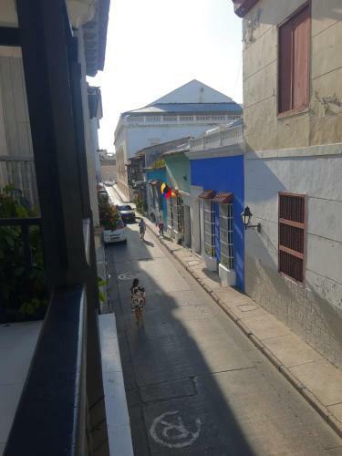 Colonial House Apartment - Historic Center