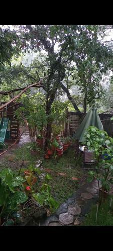 Apartamento Junto Al Bosque / Woodside Home