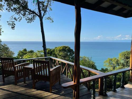 Jungle By The Sea