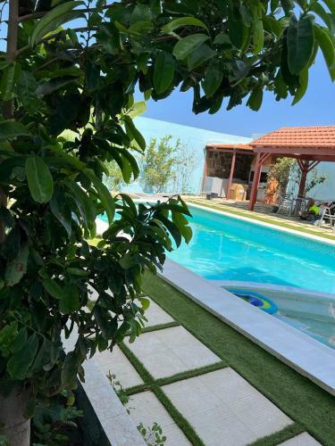 Apartamento Techa's Charming Boutique Hotel