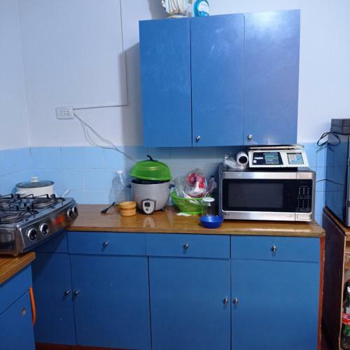 La Casa Azul Del Artista