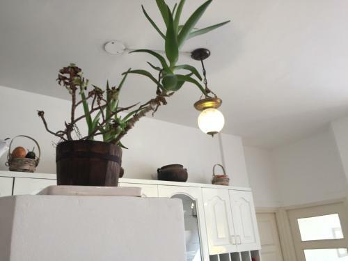 Apartamento 5 Estrellas En Centro Hist�rico De Lima