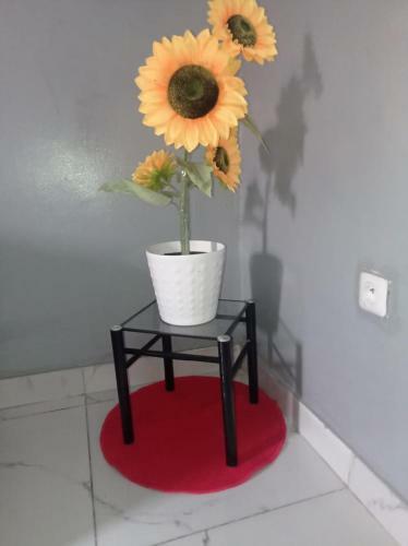 Apartamento Lola Logement