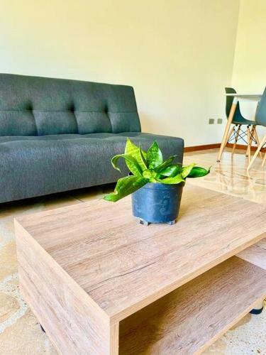 Apartamento Con Estacionamiento Privado