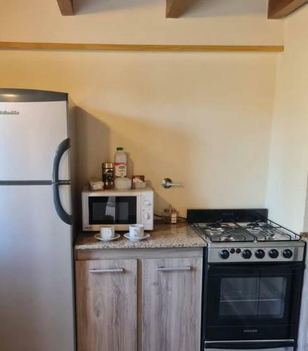 Apartamento Casa Lacar 4 Kriger