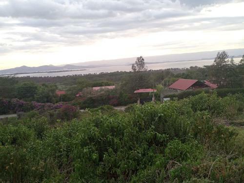 Hostal Gracevilla Bnb