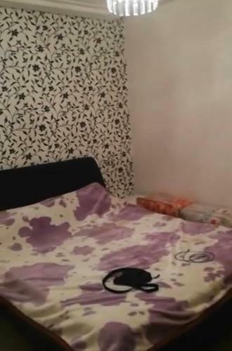 Apartamento R�sident Neptune