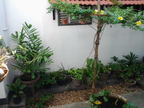 Hostal Jlh Beach Hotel Hikkaduwa