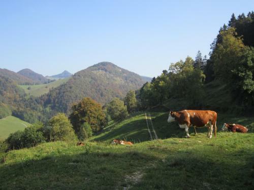 Bed & Breakfast Gast Und Hof Spittel