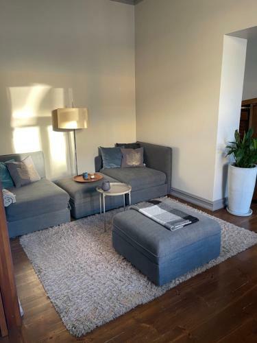 Luxury Apartment Downtown